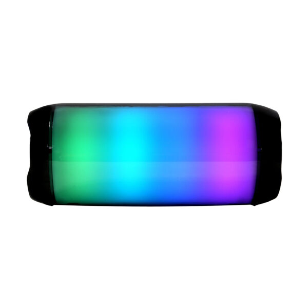 اسپیکر پرتابل مدل TS-100