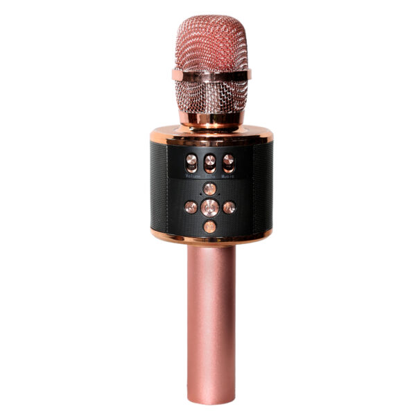 میکروفن فانتزی مدل WS-858L